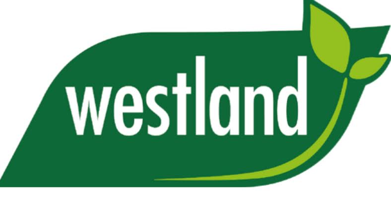 wastland logo